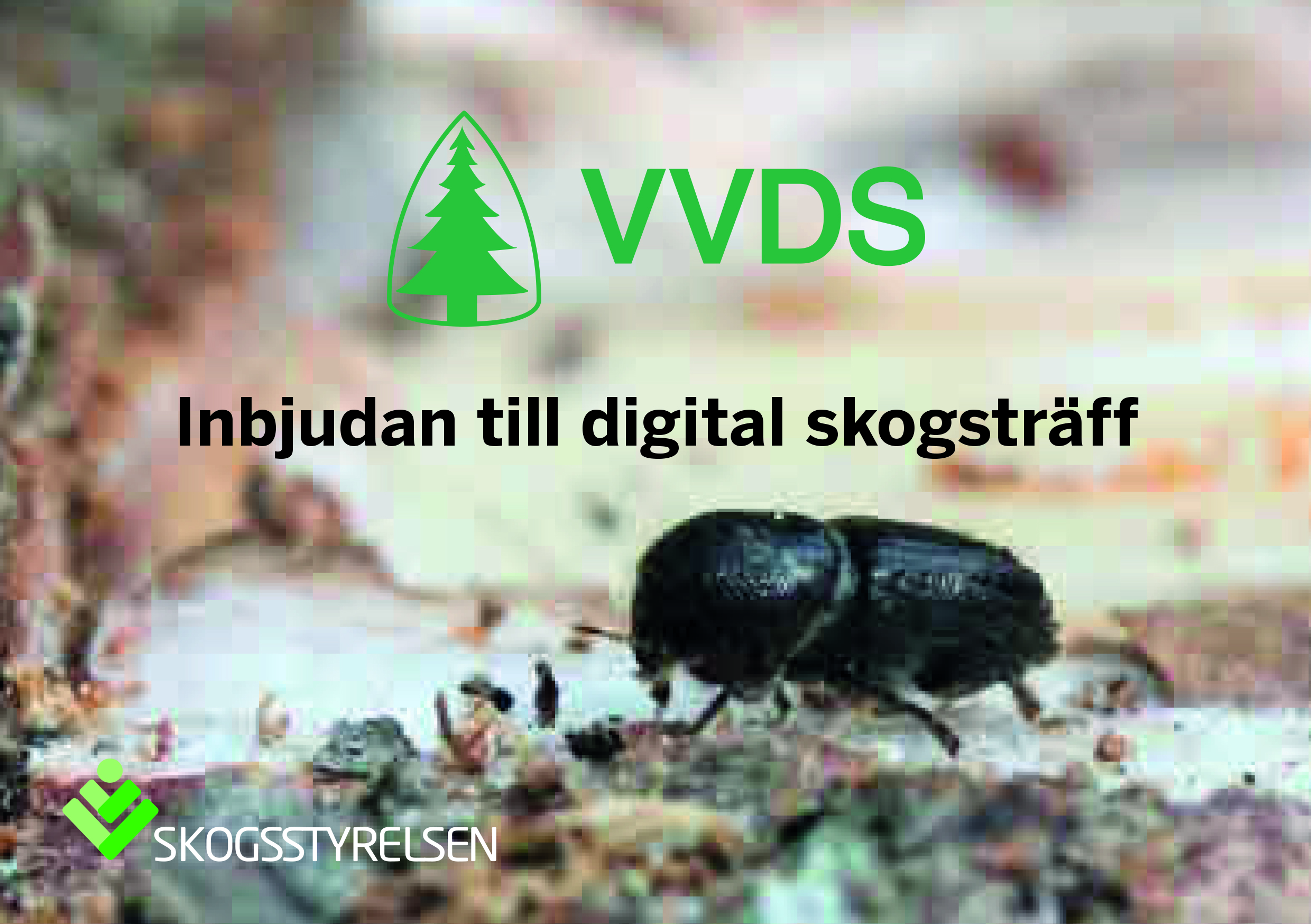 Inbjudan till digital skogsträff
