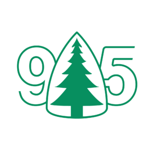 VVDS Jubileumslogo 95 år