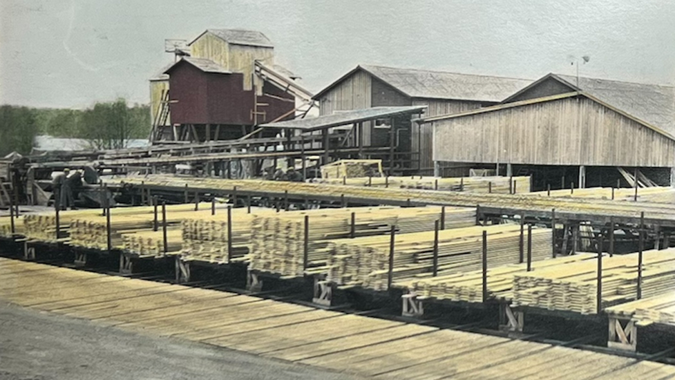 En del av sågverket och brädsorteringsverket på Årjängs såg.